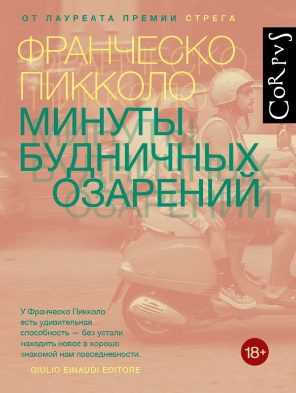 Обложка книги Минуты будничных озарений — Пикколо Ф.