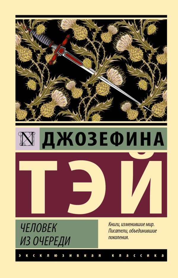 Обложка книги Человек из очереди — Тэй Д.
