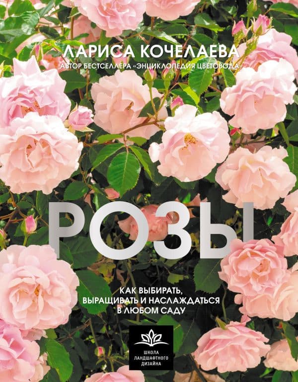 Обложка книги Розы. Как выбирать, выращивать и наслаждаться в любом саду — Кочелаева Л.Н.