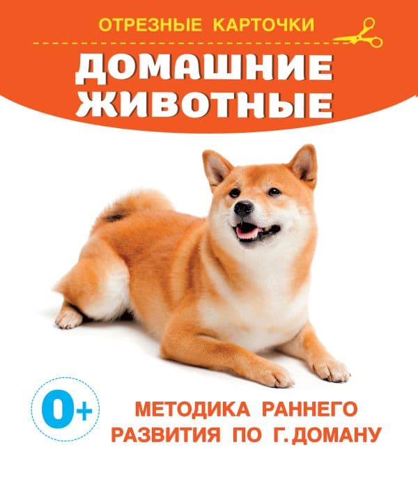Обложка книги Домашние животные — Дмитриева В.Г.