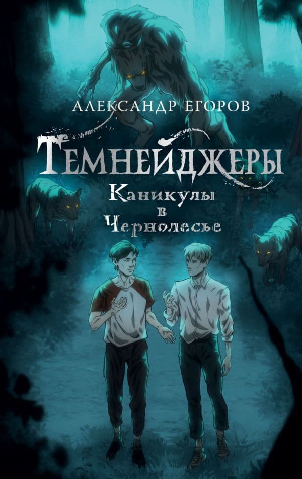 Обложка книги Темнейджеры. Каникулы в Чернолесье — Егоров А.А.
