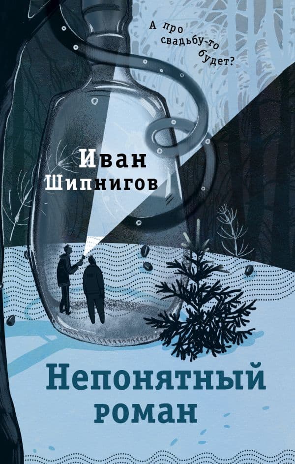 Обложка книги Непонятный роман — Шипнигов И.В.