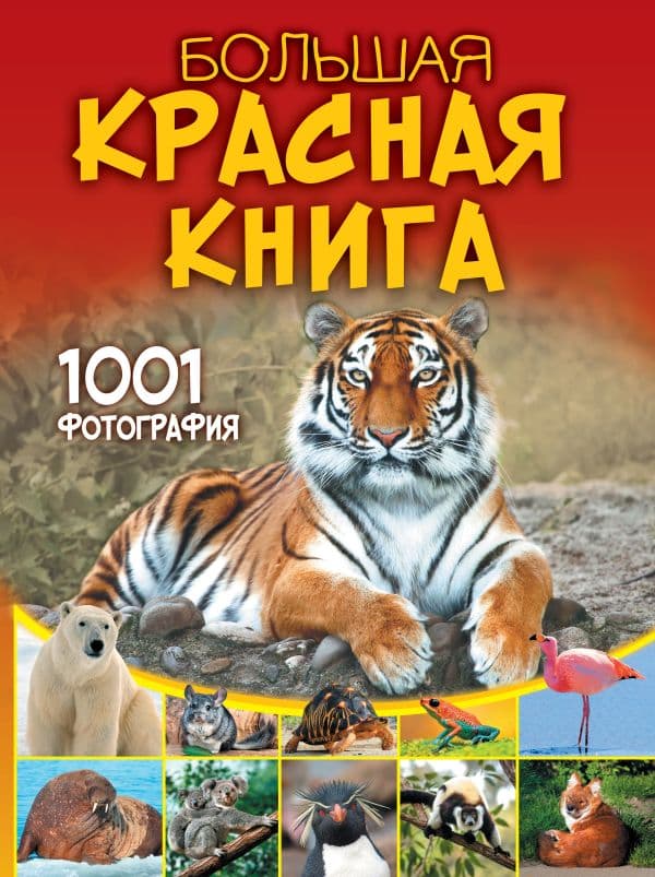 Обложка книги Большая красная книга. 1001 фотография — Спектор А.А.