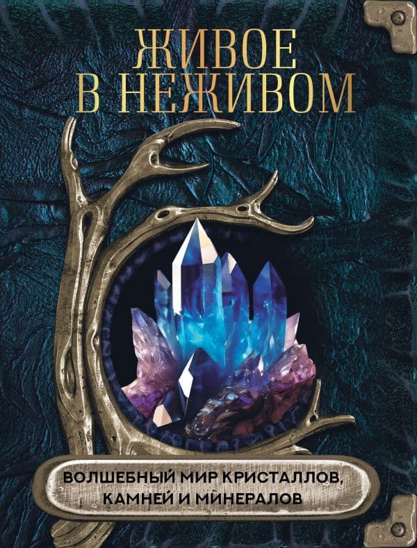 Обложка книги Живое в неживом. Волшебный мир кристаллов, камней и минералов — .