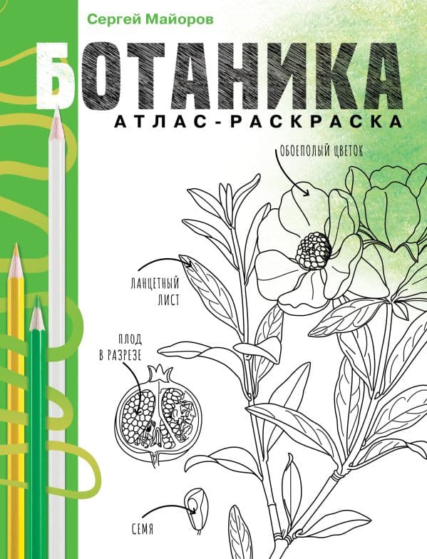 Обложка книги Ботаника. Атлас-раскраска — Майоров С.Р.