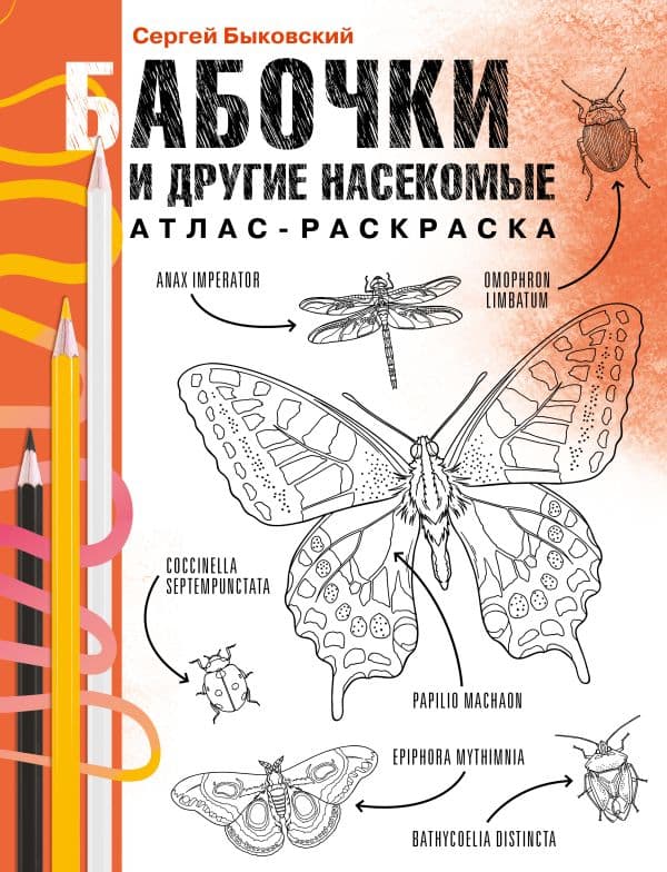 Обложка книги Бабочки и другие насекомые. Атлас-раскраска — Быковский С.А.