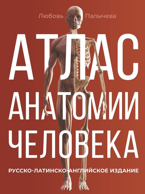 Обложка книги Атлас анатомии человека. Русско-латинско-английское издание — Палычева Любовь Николаевна