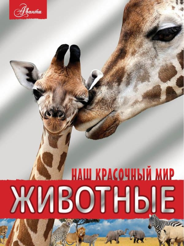 Обложка книги Животные — Вайткене Л.Д., Филиппова М.Д.
