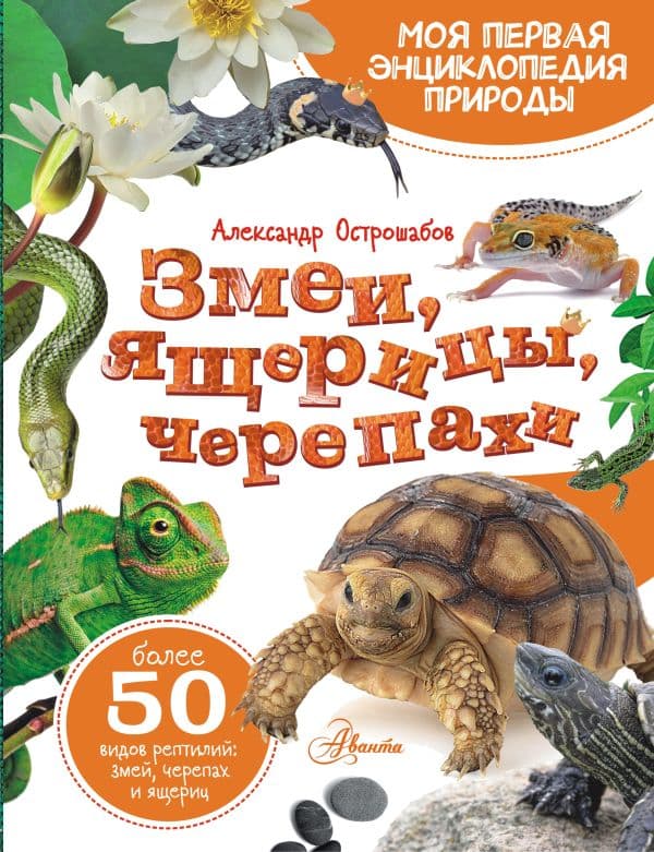 Обложка книги Змеи, ящерицы, черепахи — Острошабов А.А.