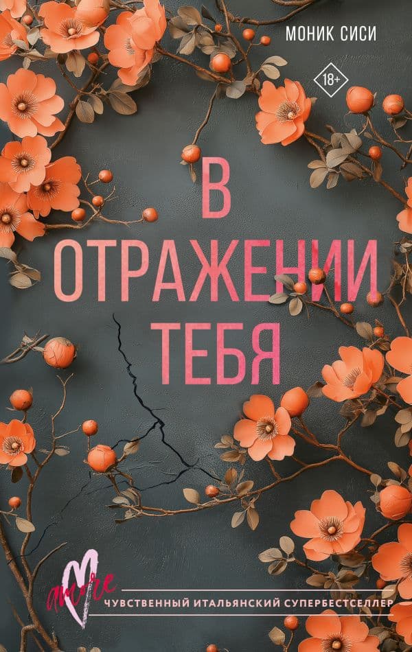 Обложка книги В отражении тебя — Сиси М.