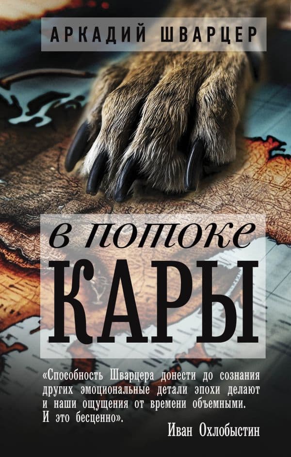 Обложка книги В потоке Кары — Шварцер А.М.