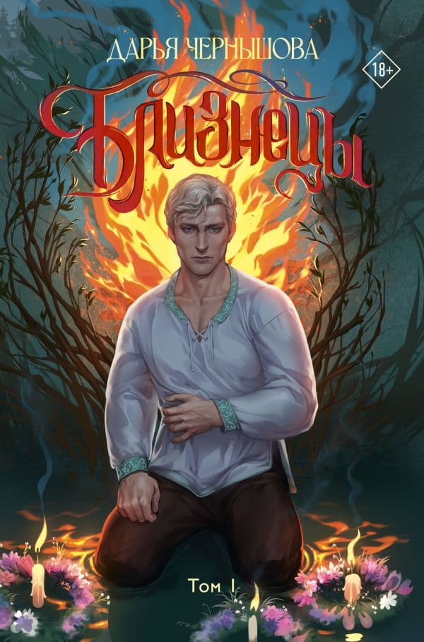 Обложка книги Близнецы. Том 1 — Чернышова Д.