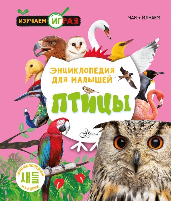 Обложка книги Птицы — .