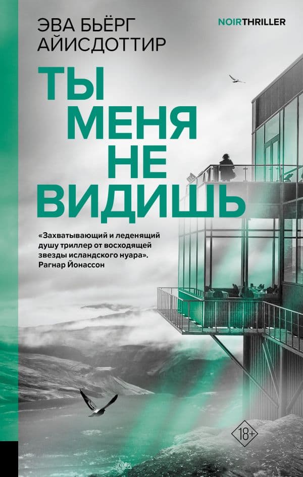 Обложка книги Ты меня не видишь — Айисдоттир Э.