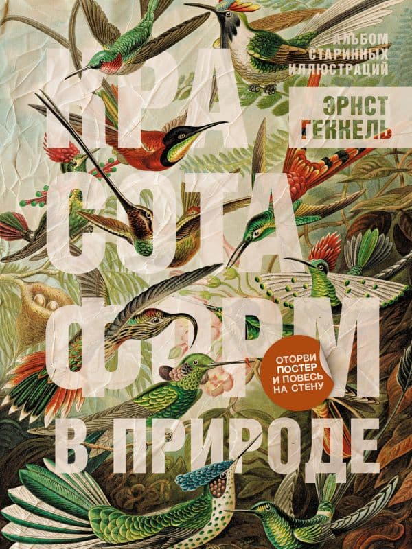 Обложка книги Красота форм в природе. Альбом старинных иллюстраций — Геккель