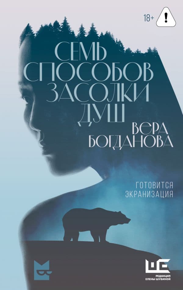 Обложка книги Семь способов засолки душ — Богданова В.О.