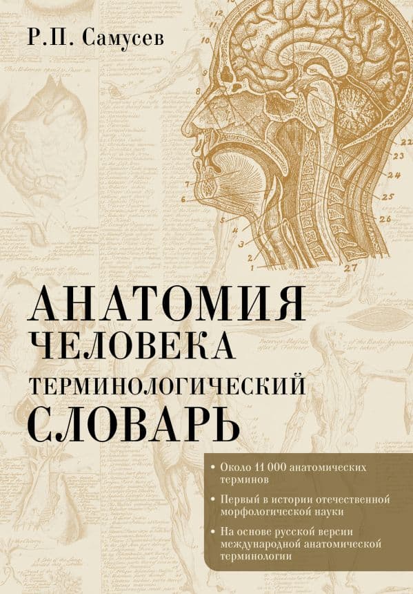 Обложка книги Анатомия человека.Терминологический словарь — Самусев Р.П.