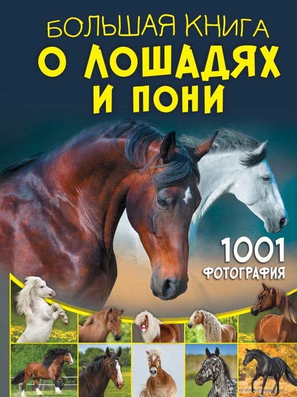 Обложка книги Большая книга о лошадях и пони. 1001 фотография — Спектор А.А.