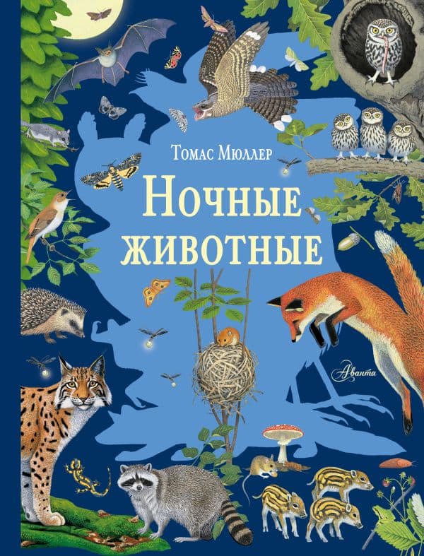 Обложка книги Ночные животные — Мюллер Т.