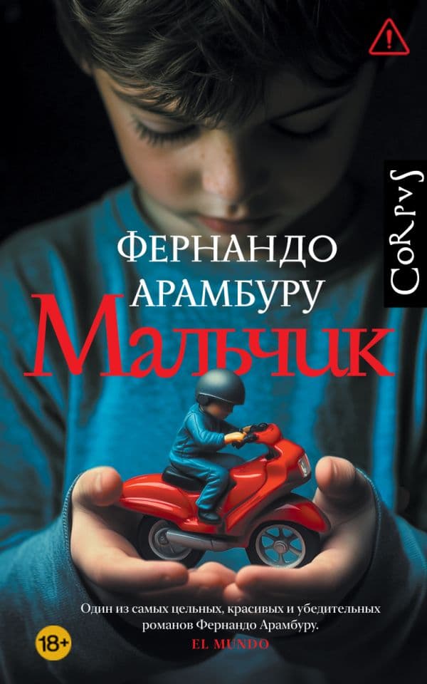Обложка книги Мальчик — Арамбуру Ф.