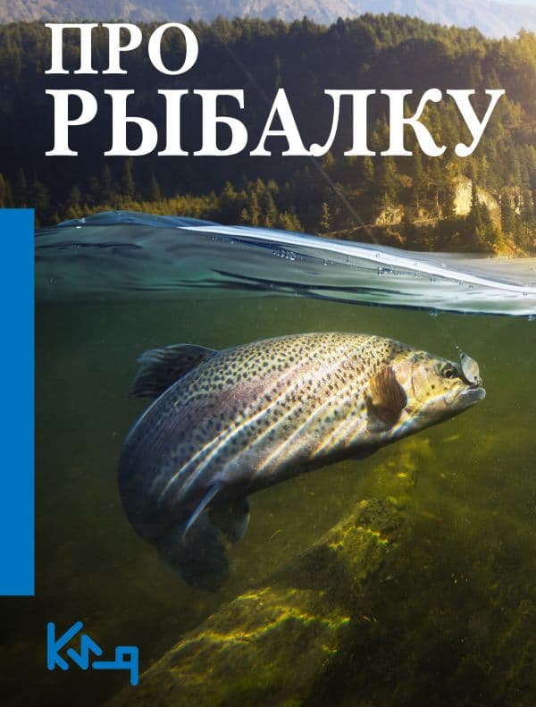 Обложка книги Про рыбалку — .