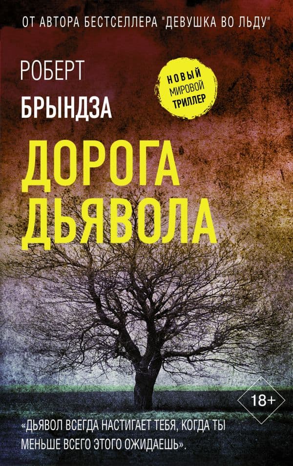 Обложка книги Дорога дьявола — Брындза Р.