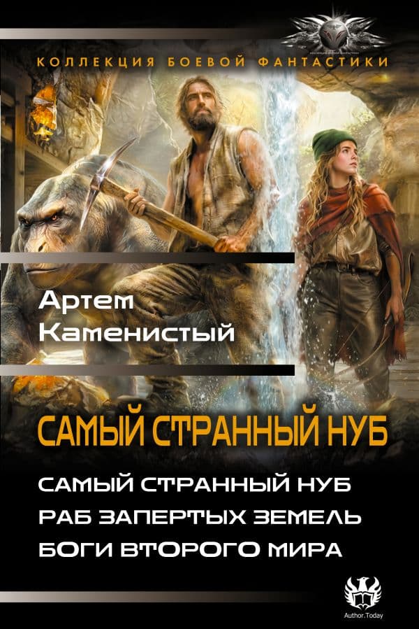 Обложка книги Самый странный нуб — Каменистый А.