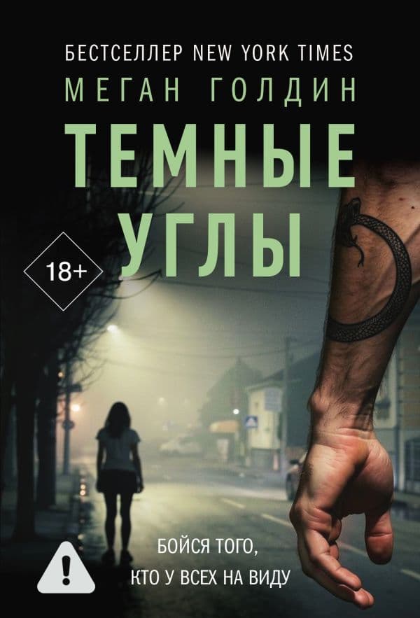 Обложка книги Темные углы — Голдин М.
