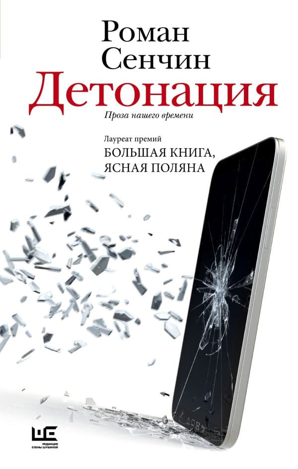 Обложка книги Детонация — Сенчин Р.В.