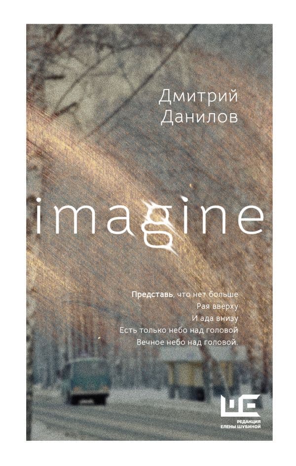 Обложка книги Imagine — Данилов Д.А.