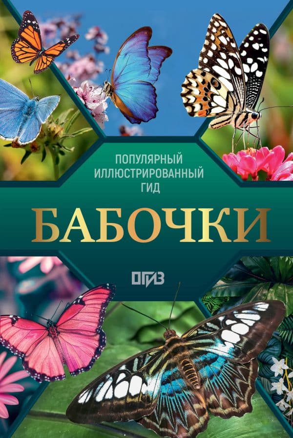 Бабочки. Иллюстрированный гид