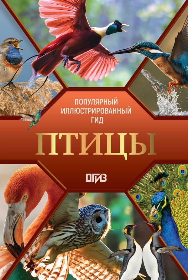 Обложка книги Птицы. Иллюстрированный гид — Спектор А.А., Папуниди Е.А.