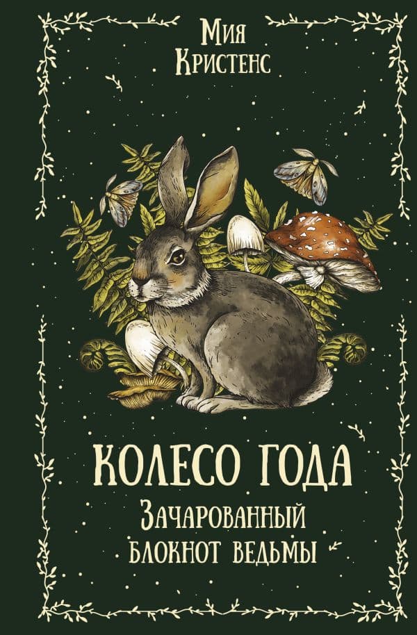 Обложка книги Колесо года. Зачарованный блокнот ведьмы — Кристенс Мия