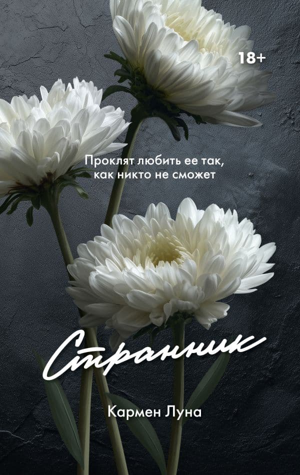 Обложка книги Странник — Луна К.