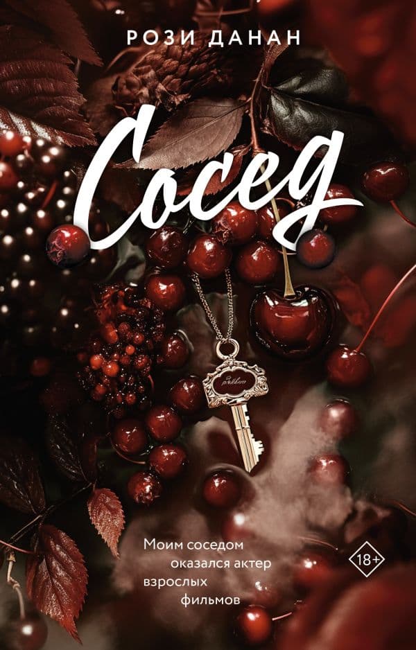 Обложка книги Сосед — Данан Р.