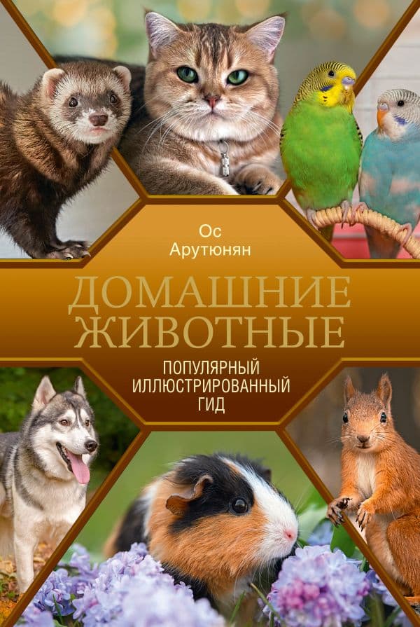 Обложка книги Домашние животные. Популярный иллюстрированный гид — Арутюнян О.С.
