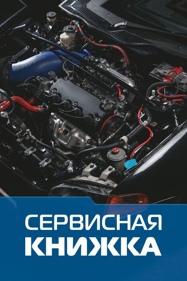 Обложка книги Сервисная книжка (на проволоке) — .