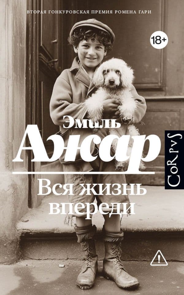 Обложка книги Вся жизнь впереди — Ажар Э.