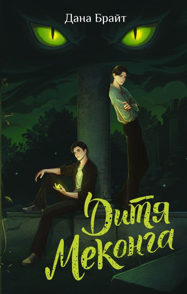 Обложка книги Дитя Меконга — Брайт Д.