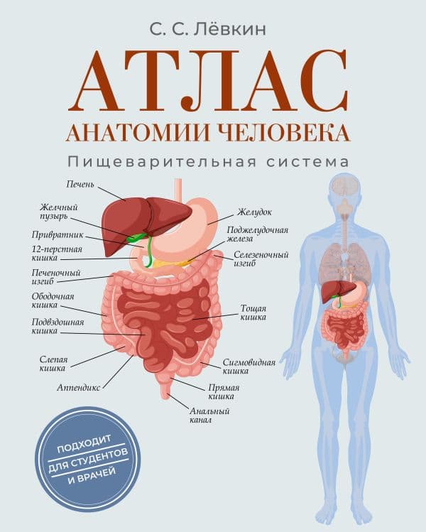 Обложка книги Атлас анатомии человека. Пищеварительная система — Лёвкин С.С.