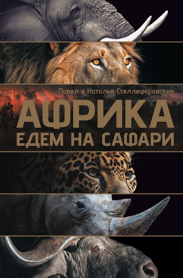 Африка. Едем на сафари