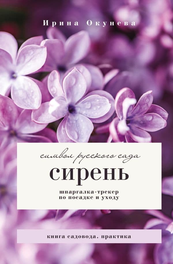 Сирень. Символ русского сада. Шпаргалка-трекер по посадке и уходу