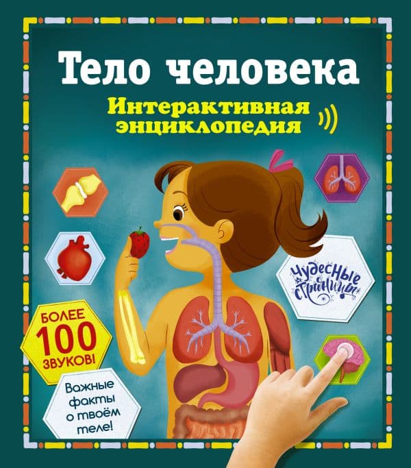 Обложка книги Тело человека. Интерактивная энциклопедия — 