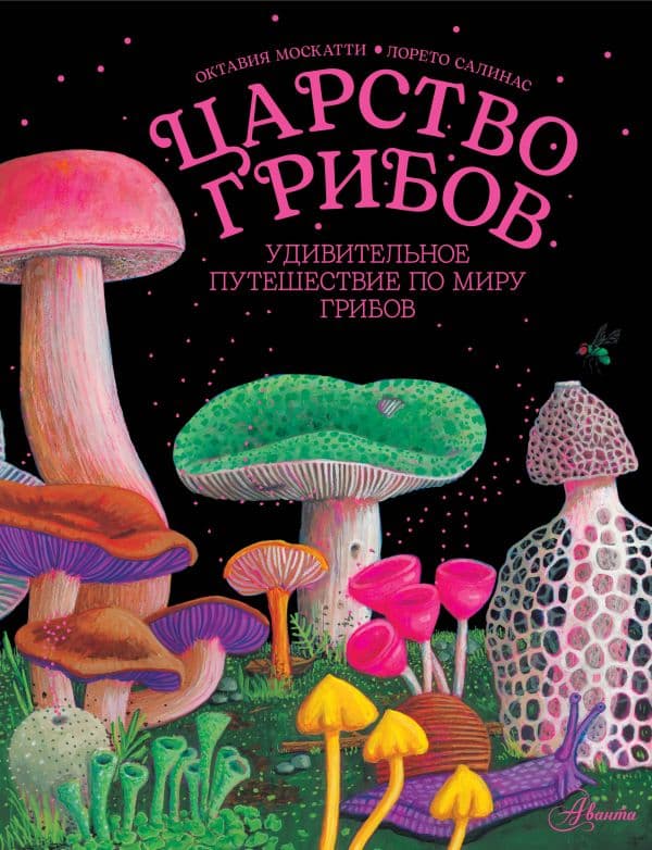 Обложка книги Царство грибов — Москатти О.