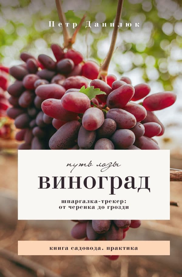 Обложка книги Виноград. Путь лозы. Шпаргалка-трекер: от черенка до грозди — Данилюк П.П.