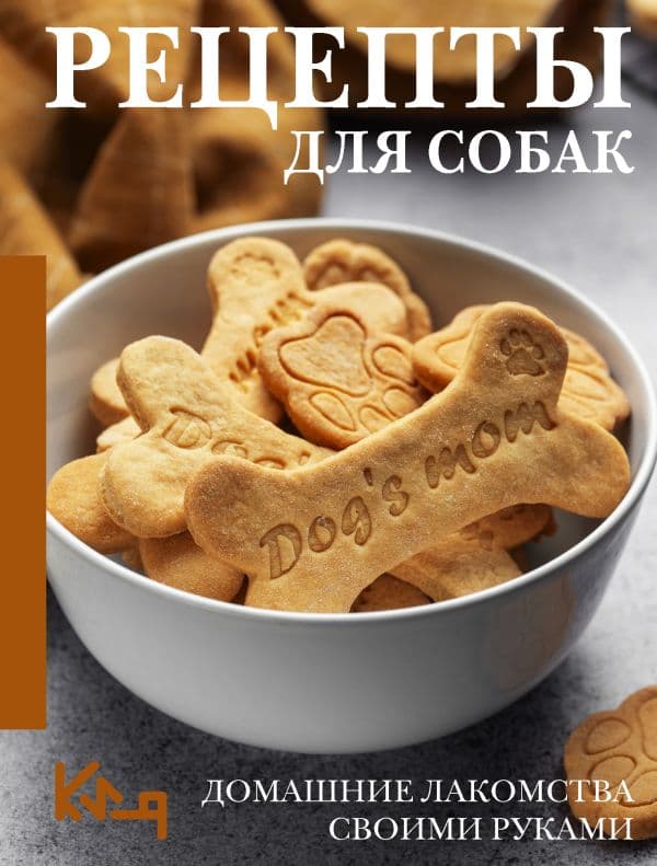 Обложка книги Рецепты для собак. Домашние лакомства своими руками — &ltне указано>
