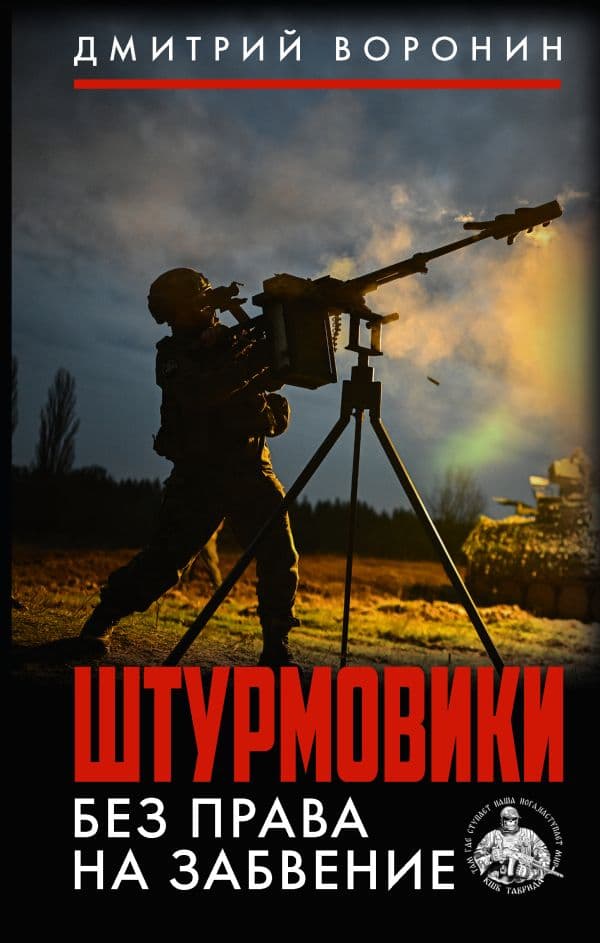 Обложка книги Штурмовики. Без права на забвение — Воронин Д.