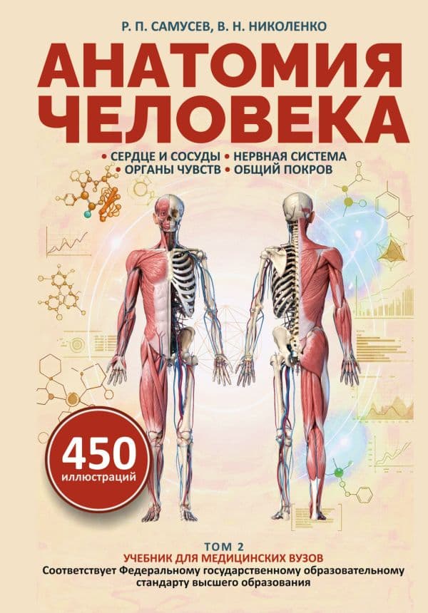 Обложка книги Анатомия человека. Сердце и сосуды, нервная система, органы чувств, общий покров — Самусев Рудольф Павлович, Николенко Владимир Николаевич