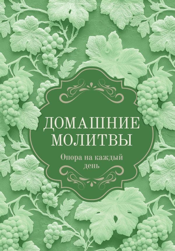 Обложка книги Домашние молитвы. Опора на каждый день — .