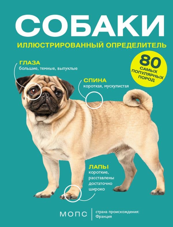 Обложка книги Собаки. 80 самых популярных пород. Иллюстрированный определитель — Барановская И.Г.